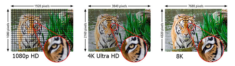 Figure-1_8K-resolution-demonstration