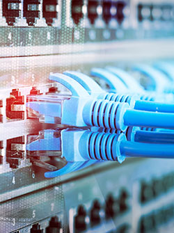 Driving Digital Transformation with Fiber Connectivity Solutions