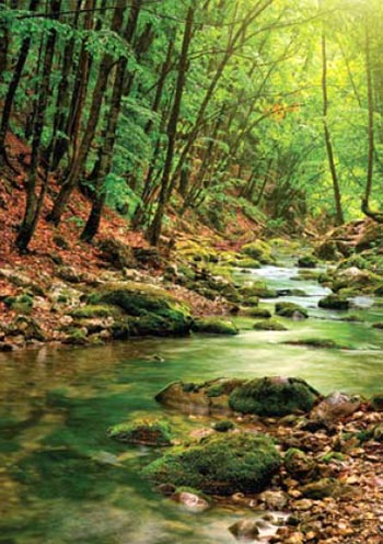 rohs-lifestyle-image