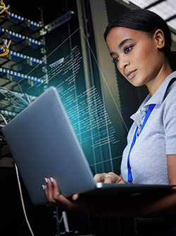 WAN_Purple_Section_12042024